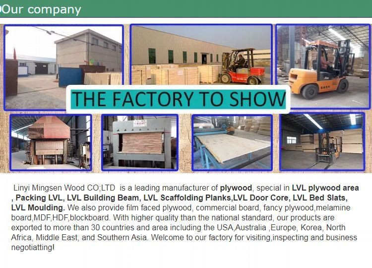 Plywood Timber Building Construction